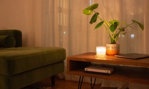 roślina doniczkowa i świeca na stoliku w salonie